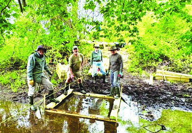 Trails prepping for bridgework, lessons on bridgework