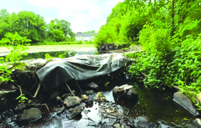 Guild Pond Feasibility Study: Seeking Public Comment Through October 22, 2026