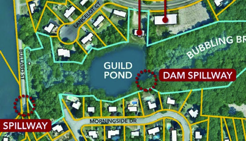 Feedback on Guild: Dam fine cup of pond